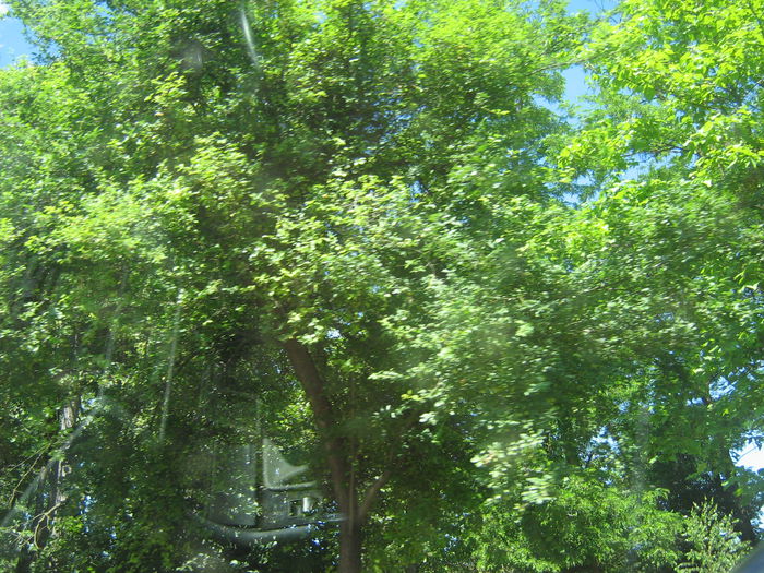 in natura 015