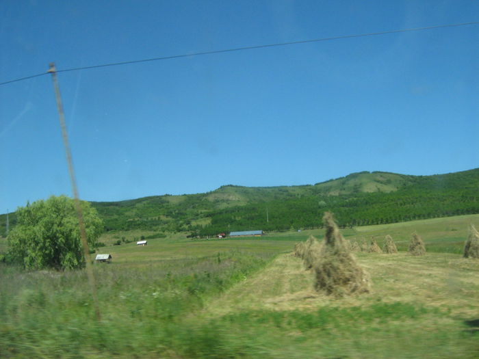 in natura 024