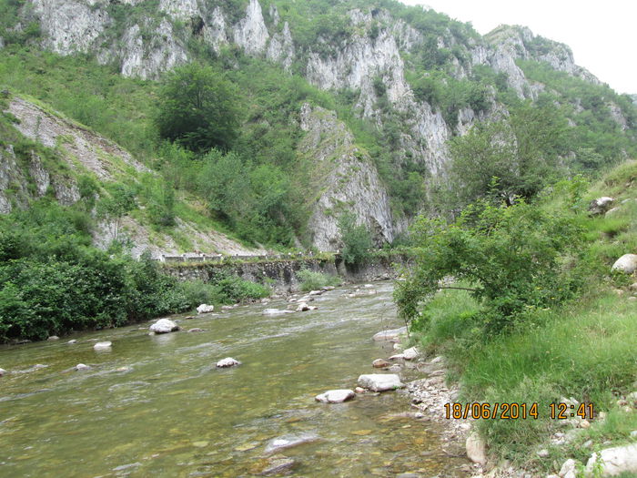 IMG_6559 - Sohodol iunie 2014