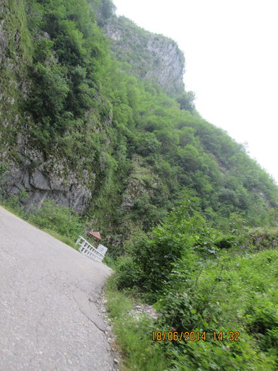 IMG_6623 - Sohodol iunie 2014