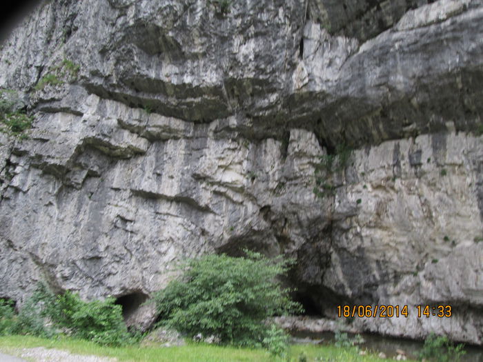 IMG_6626 - Sohodol iunie 2014