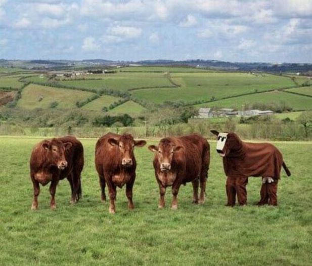  - Fotografii inedite-1