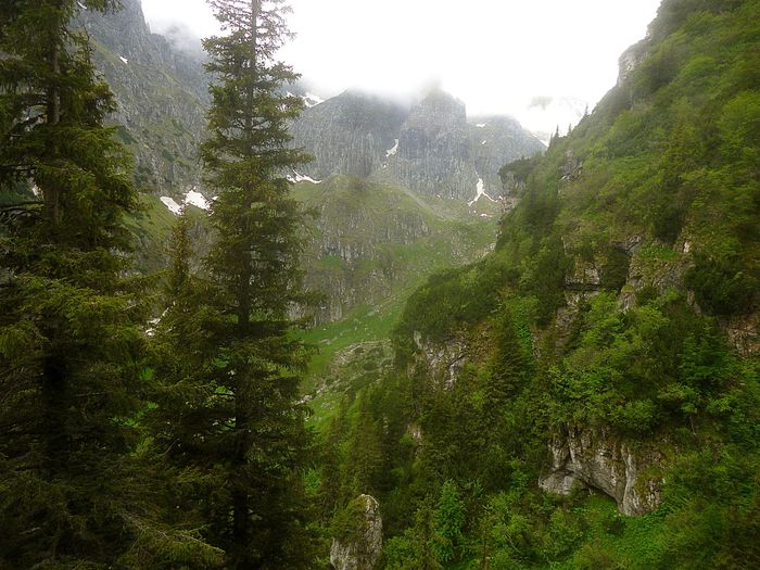 Deasupra cab. Malaiesti