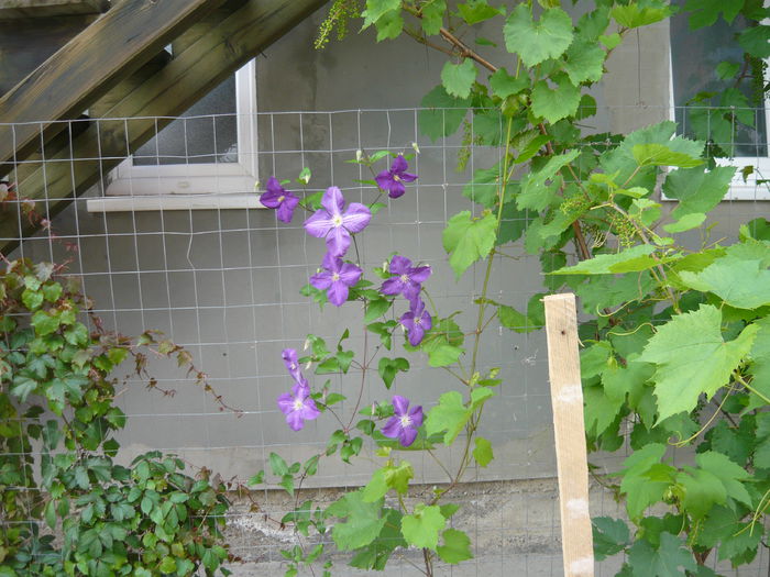 053