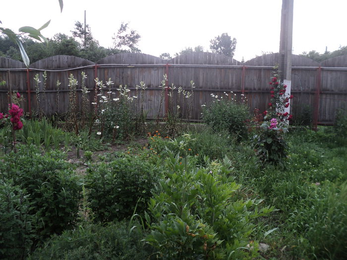 DSC04492