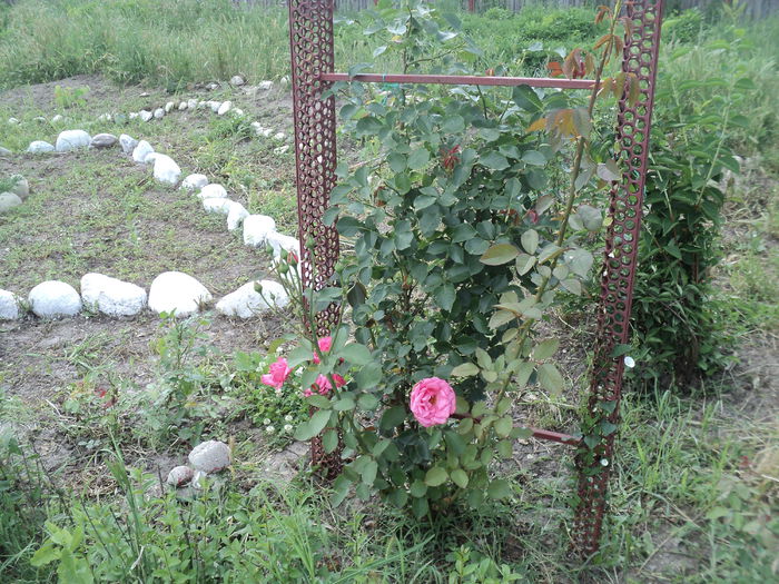 DSC04634