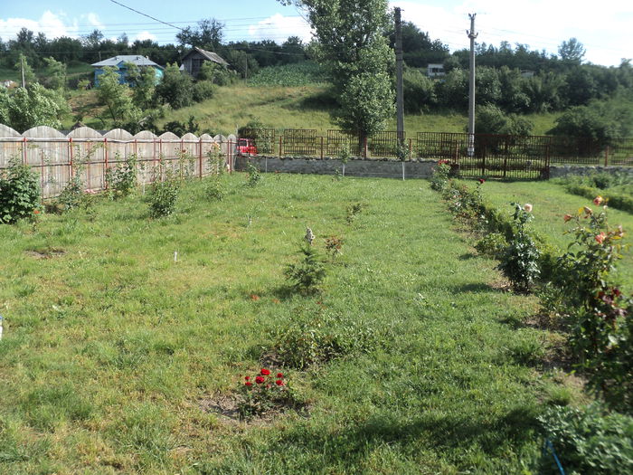 DSC04663