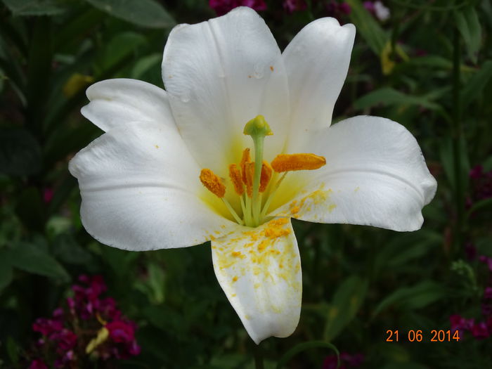 DSC05246