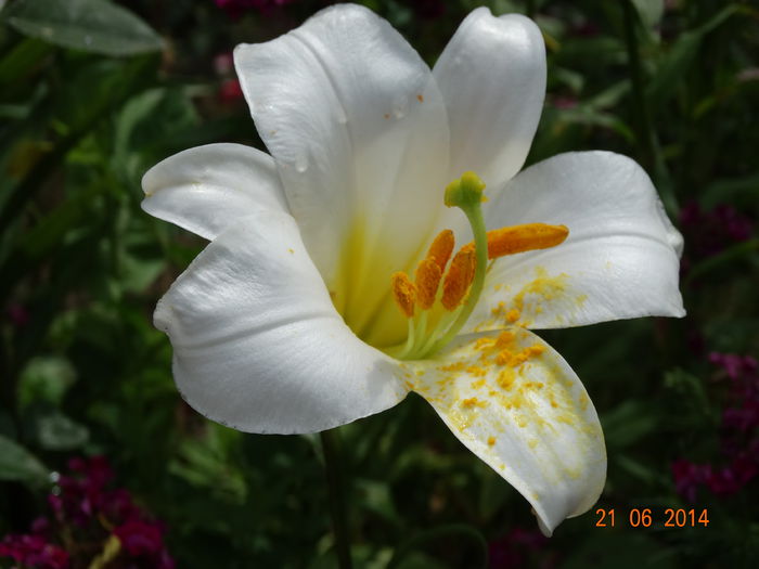 DSC05243