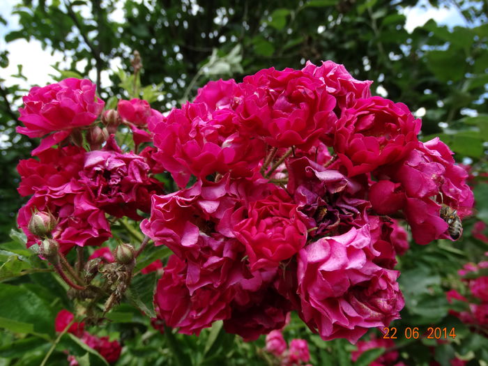 DSC05348
