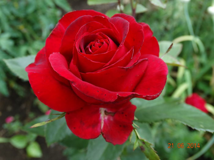 DSC05235