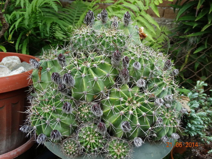 DSC05260