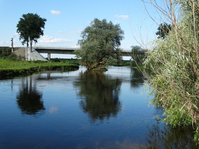 DSC01070 - Parcul natural Comana