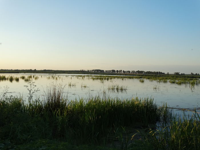 DSC01106 - Parcul natural Comana