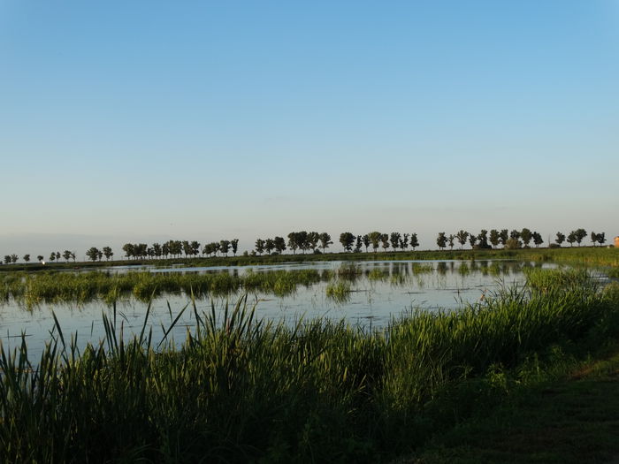 DSC01107 - Parcul natural Comana