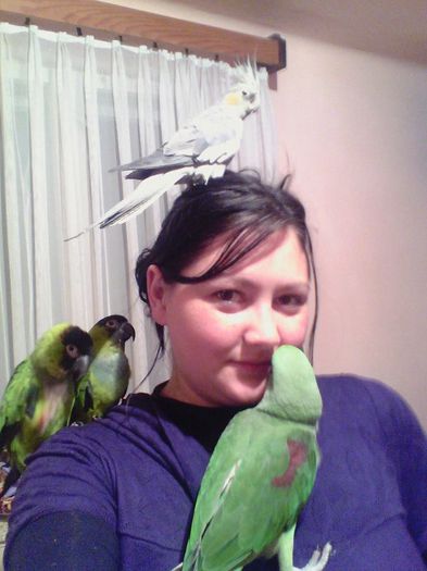 10246816_873348856014487_2534139602166498724_n