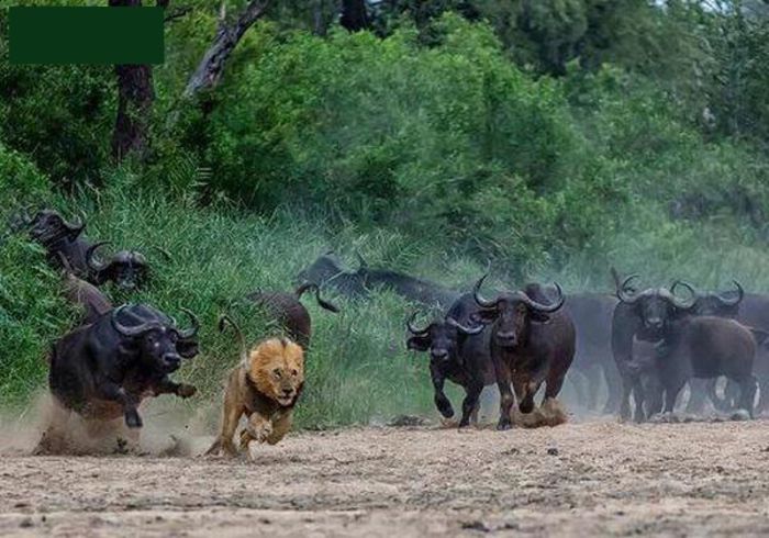  - Fotografii inedite-1