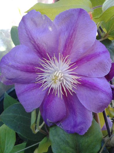 -sosita acum ! - iunie 2014