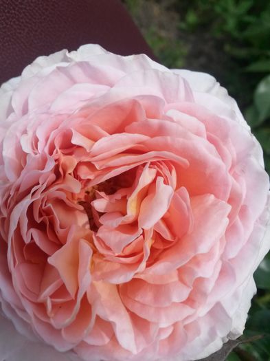 20140612_120722 - Abraham Darby