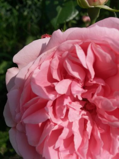 20140613_133102 - Abraham Darby