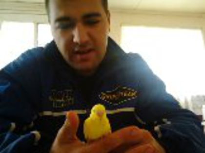 1365151110467 - Pui 2014