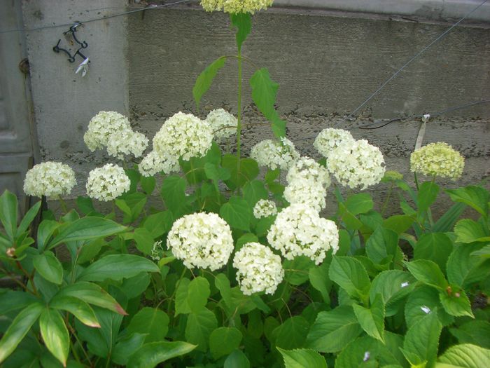 CIMG0074