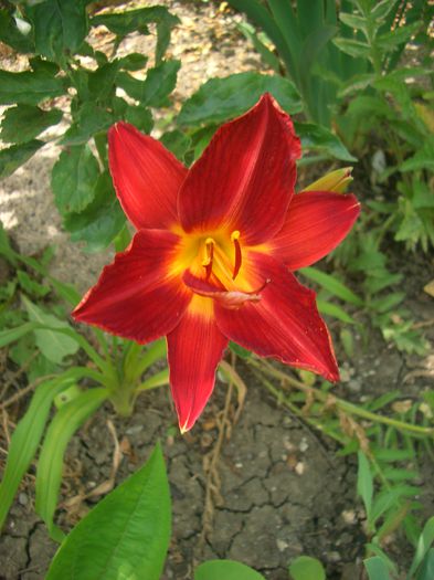CIMG0071