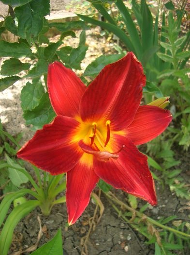 CIMG0070