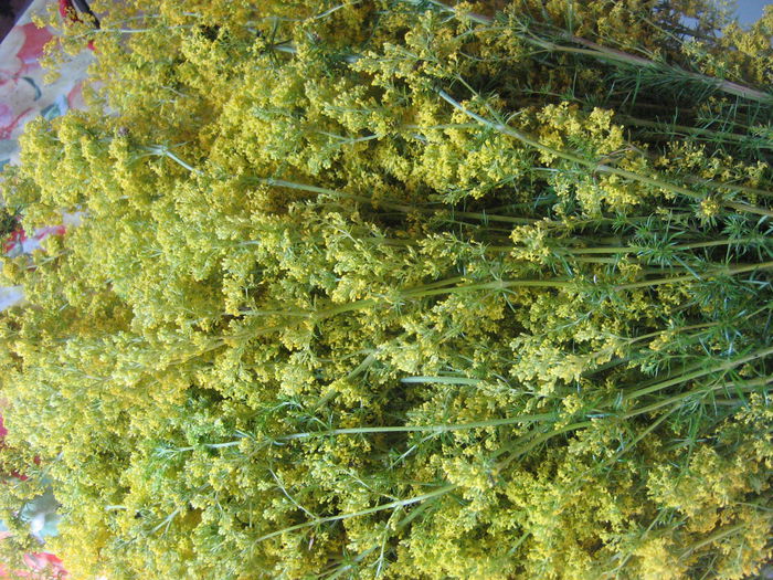 sanziene 006 - Natura cu frumusetile ei