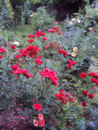 DSC08156 - Little Granada