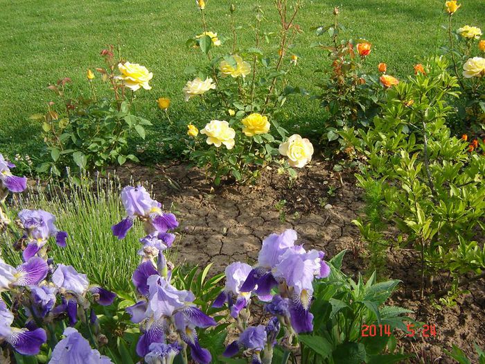 10314723_845544525459761_2787624530966646068_n