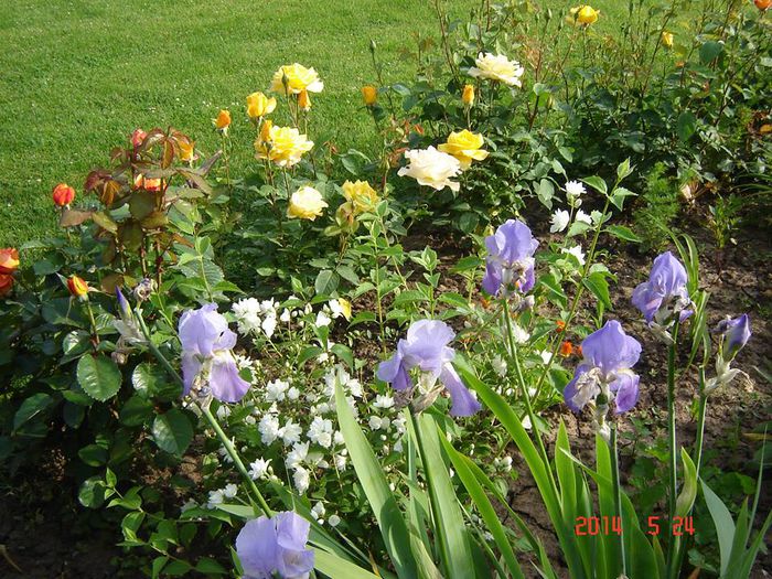 10380756_845544532126427_7099922762846736752_n