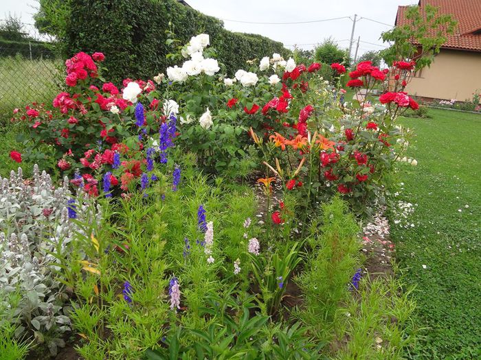 10426597_862785633735650_6603667108333981548_n