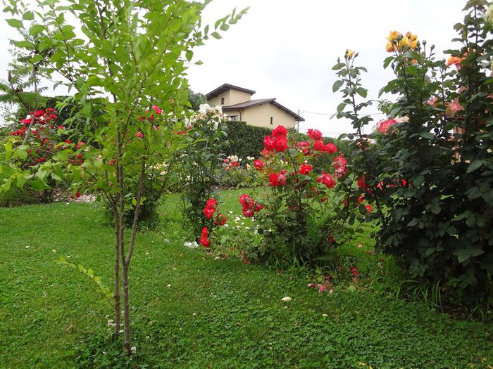 10462753_862785803735633_1533611627890898249_n