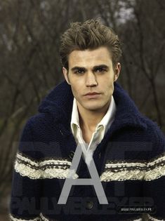 Paul-Wesley-the-vampire-diaries-tv-show-18044504-393-525 - x-The charming Paul Wesley