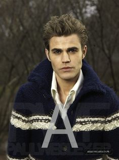 Paul-Wesley-the-vampire-diaries-tv-show-18044504-393-525