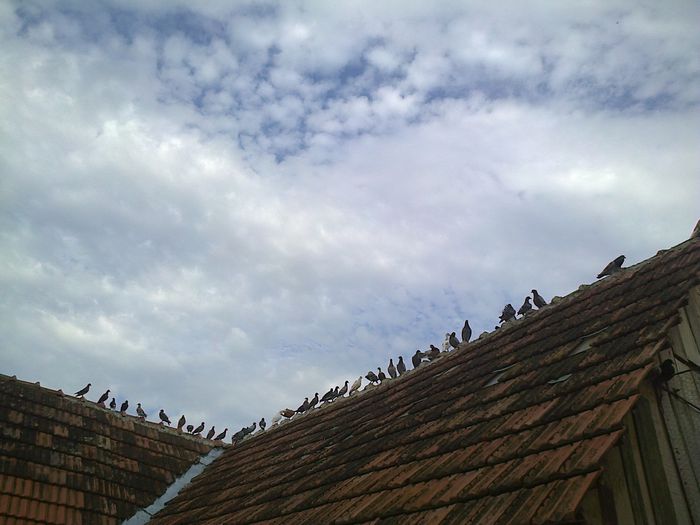 Imag 011059