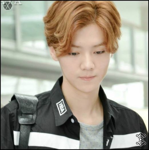 140419 LUHAN @ Gimpo to Beijing Airport.45 - exo - 140419 Luhan - Gimpo to Beijing Airport