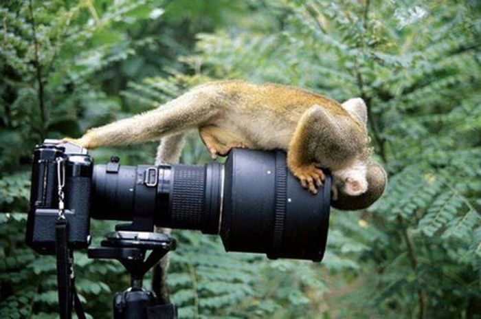  - Fotografii inedite-1
