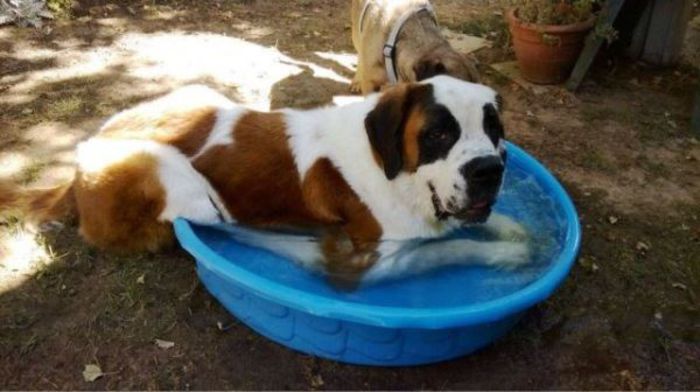  - Fotografii inedite-1