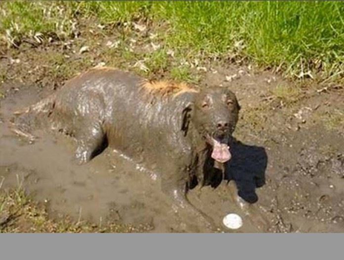  - Fotografii inedite-1