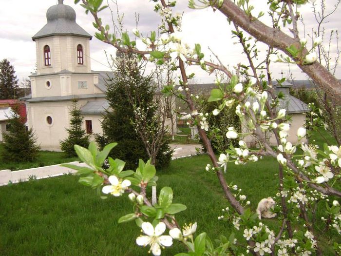 1 - Biserica din Vlasinesti