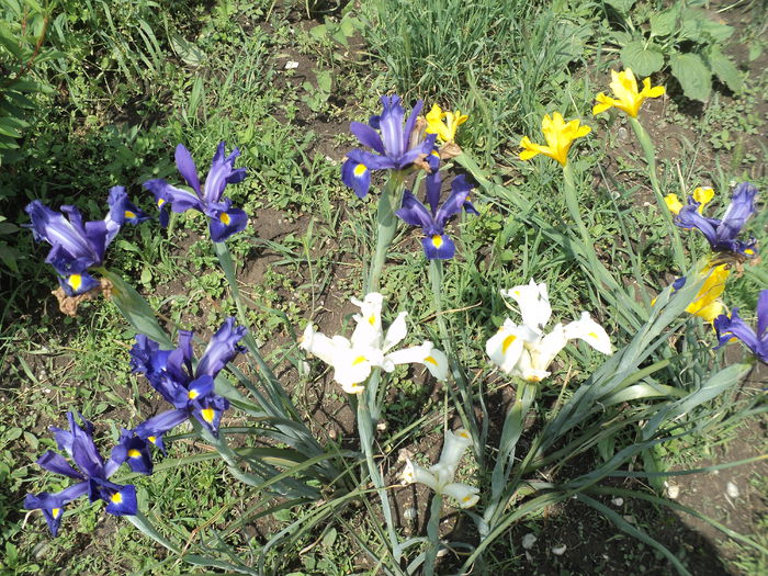 DSC04290