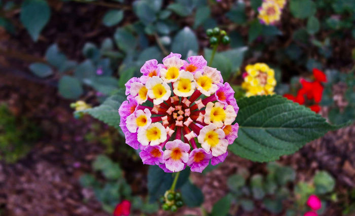 10386934_10152233306872655_2978988950952970155_o