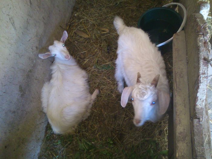 Eu cu noua mea prietena