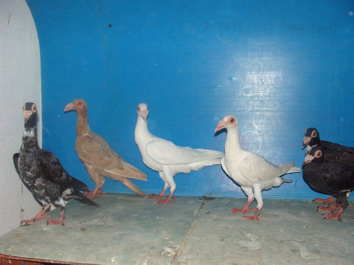 DSC02334