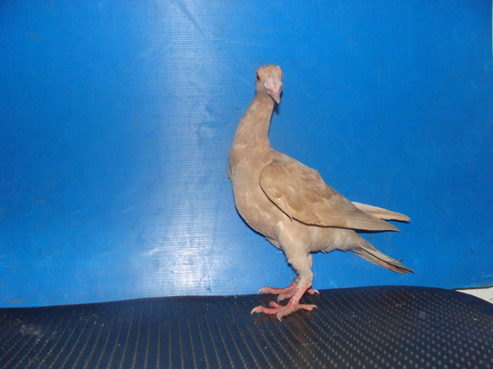 DSC02343