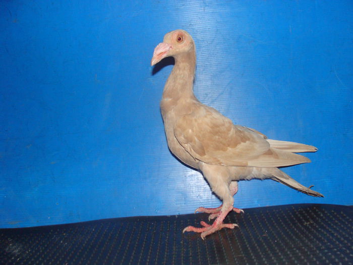 DSC02344