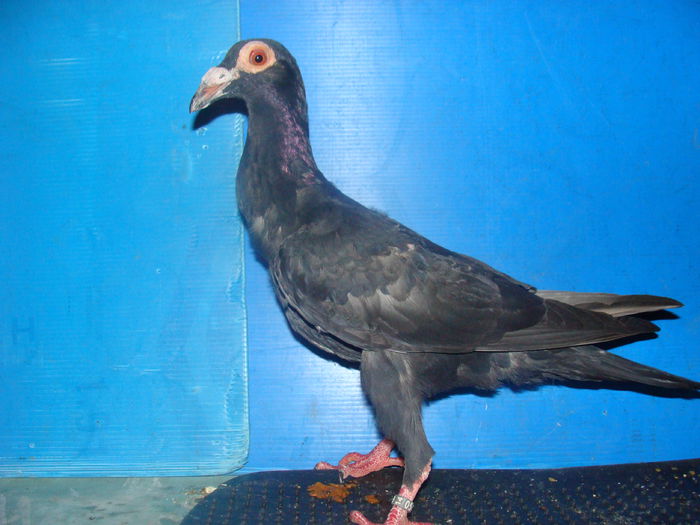 DSC02357