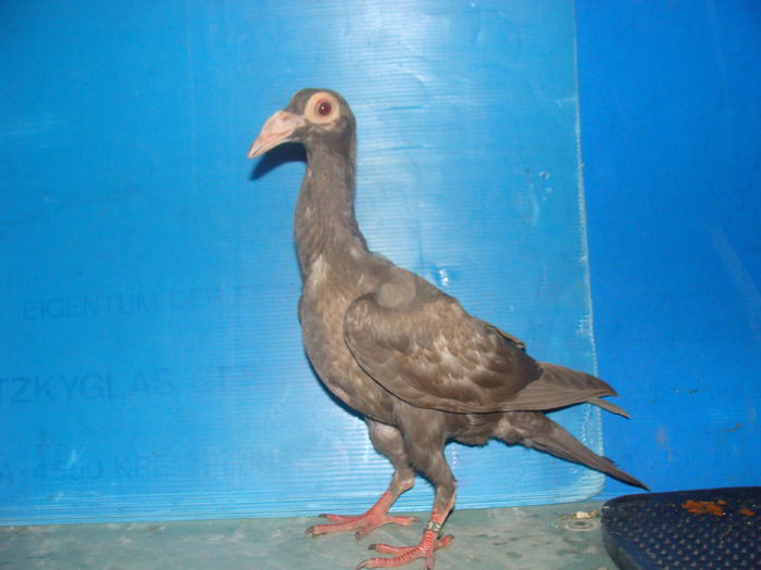 DSC02359